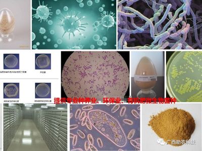 了解南寧微瑞生物科技