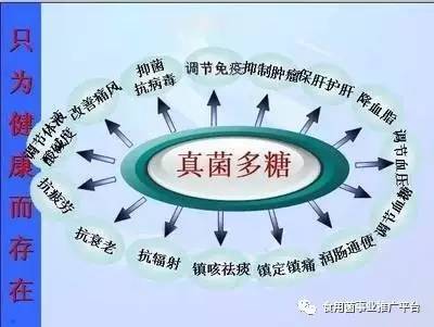 營養是怎樣調理疾病的