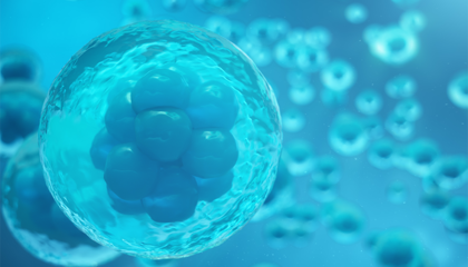 專注細胞生物科技,“達爾文生物”完成A+輪融資